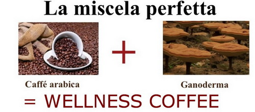 Come Acquistare il Caffè Organo Gold Con Ganoderma Lucidum?