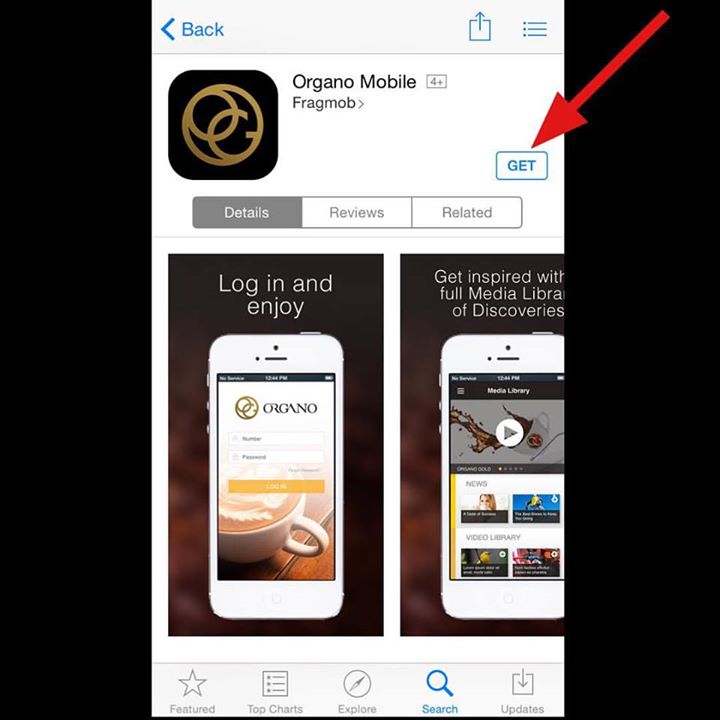 organo mobile