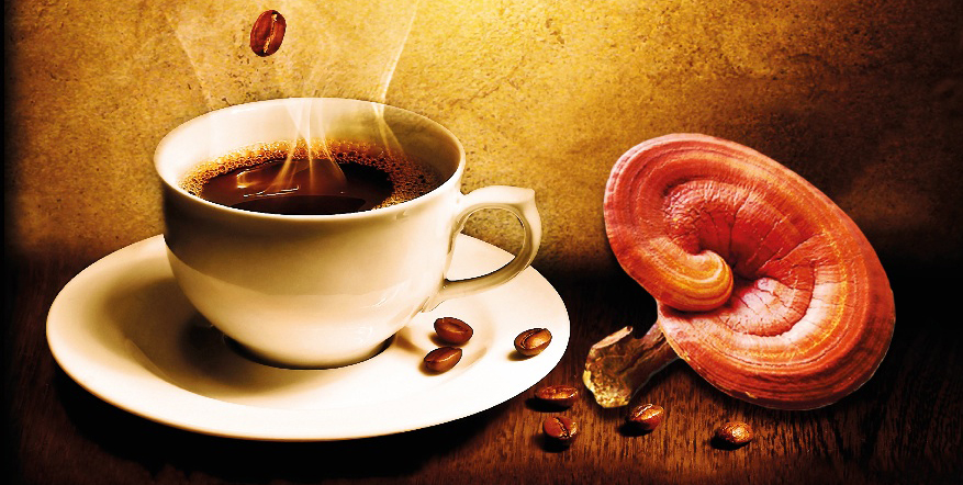 benefici del caffè al ganoderma