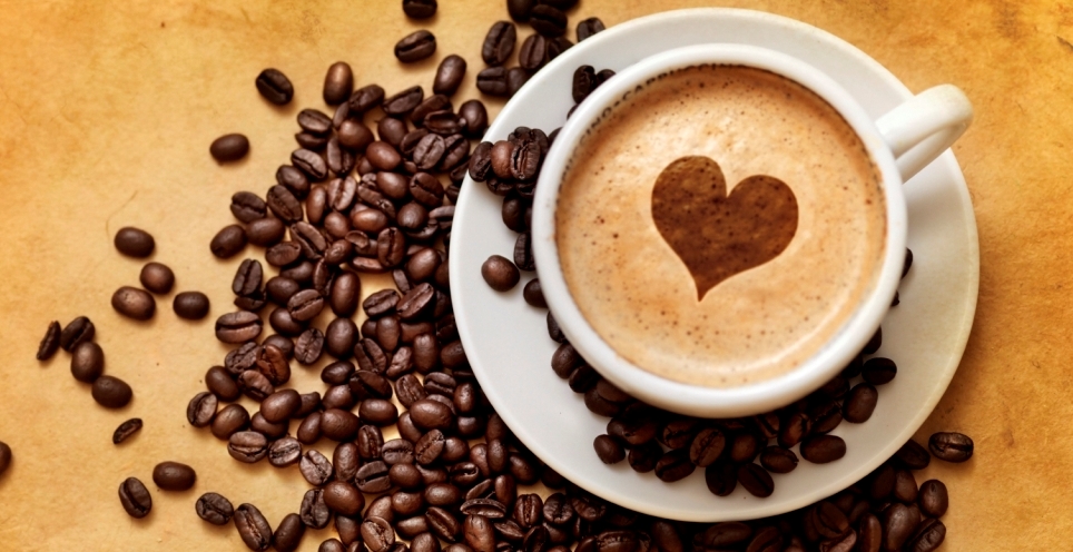 Organo Gold: La Storia…